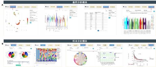 癌癥單細胞表達圖譜數據庫CancerSCEM的發布與數據處理流程解析